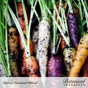Botanical Interests, Inc. - Carnival Blend Carrot Seeds