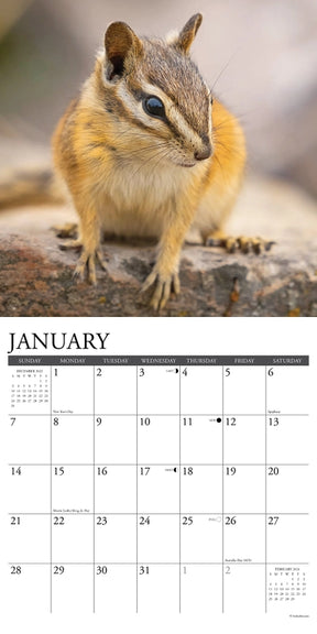 2024 Chipmunks Gone Nuts! Calendar