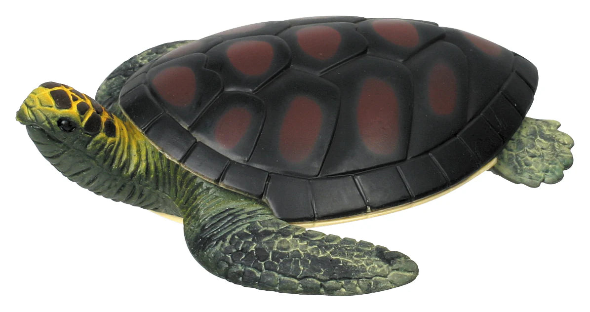 Turtle Squishanimals