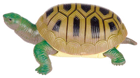 Turtle Squishanimals