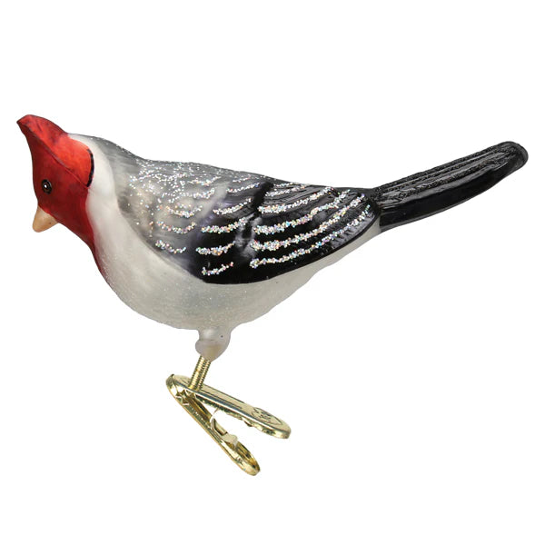 Old World Christmas - Red-crested Cardinal Ornament