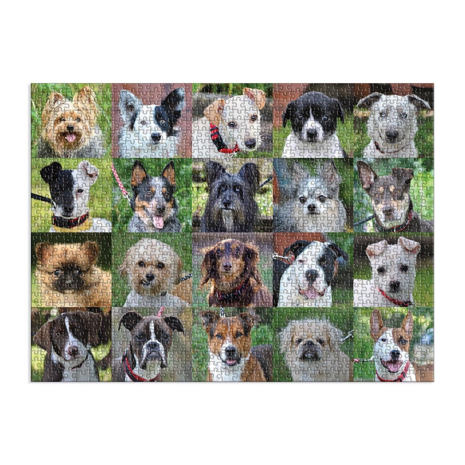 Chronicle-Hachette Book - Puzzle Rescue Dogs