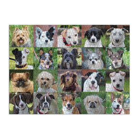 Chronicle-Hachette Book - Puzzle Rescue Dogs