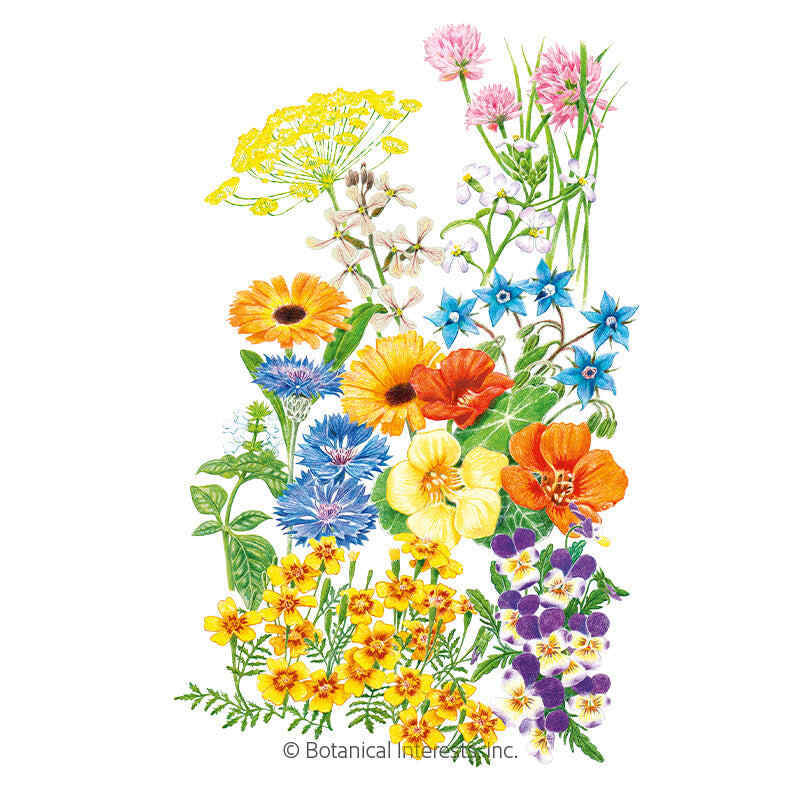 edible flower mix seeds Edible Beauties Flower Mix Seeds