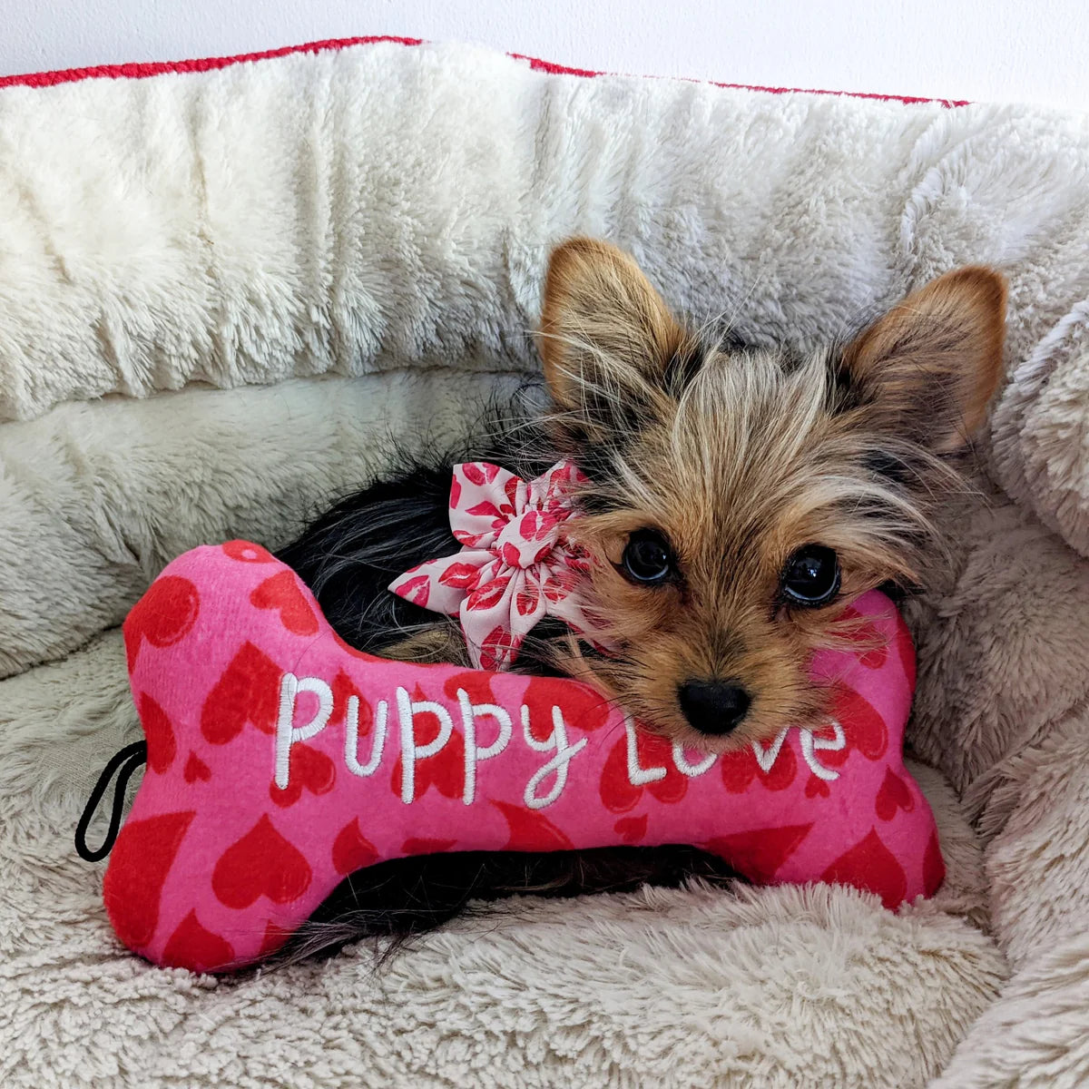 Huxley & Kent - Lulubelles Bone Puppy Love Dog Toy