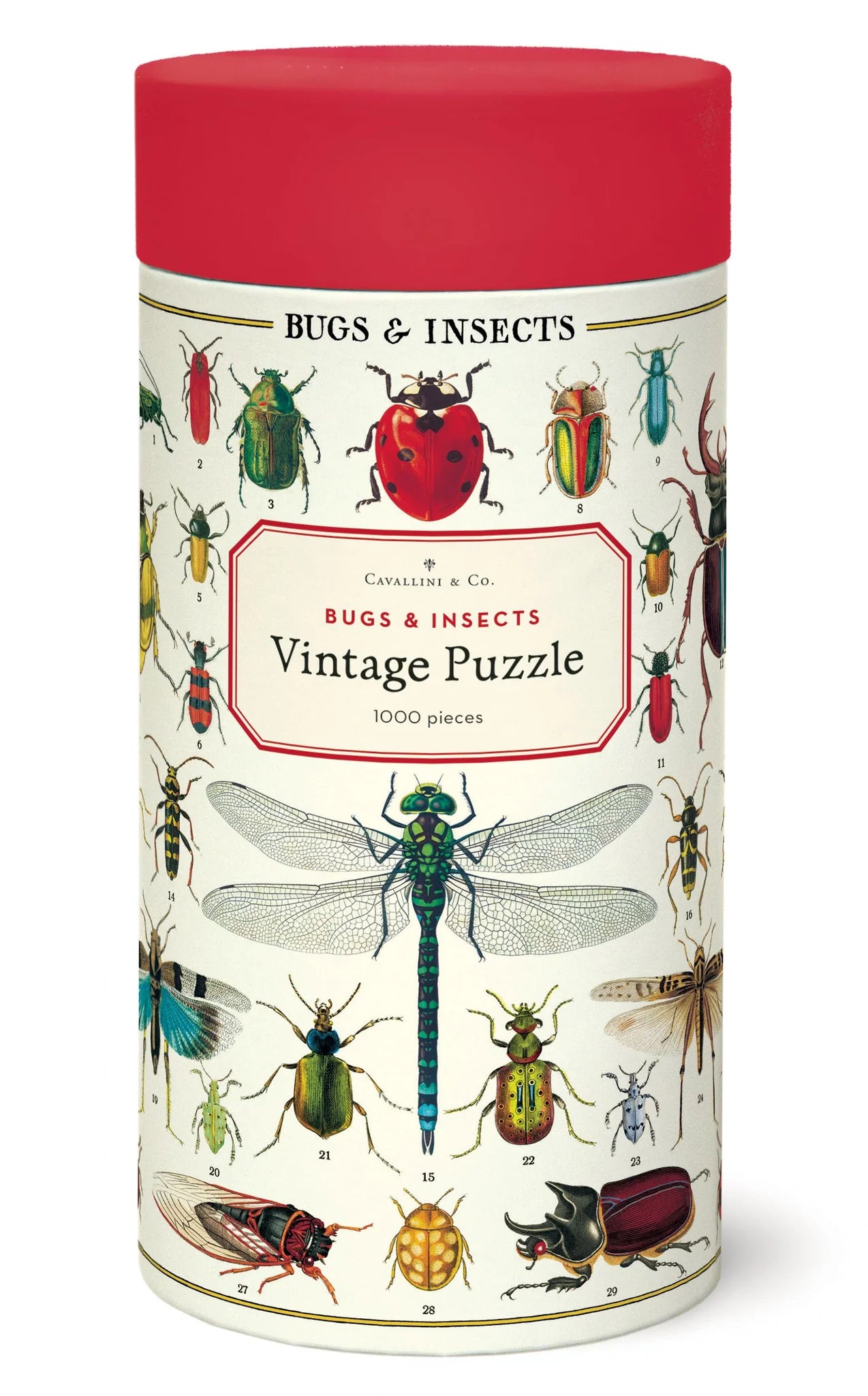 Cavallini & Co. - Puzzle Bugs & Insects