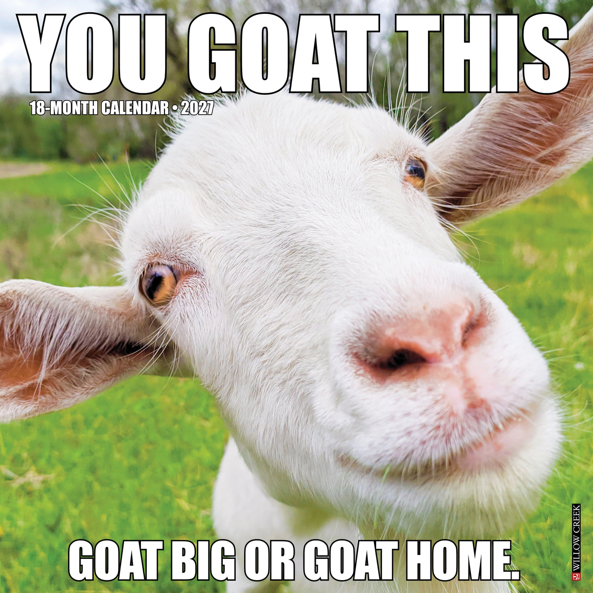 Willow Creek Press - 2027 You Goat This Calendar
