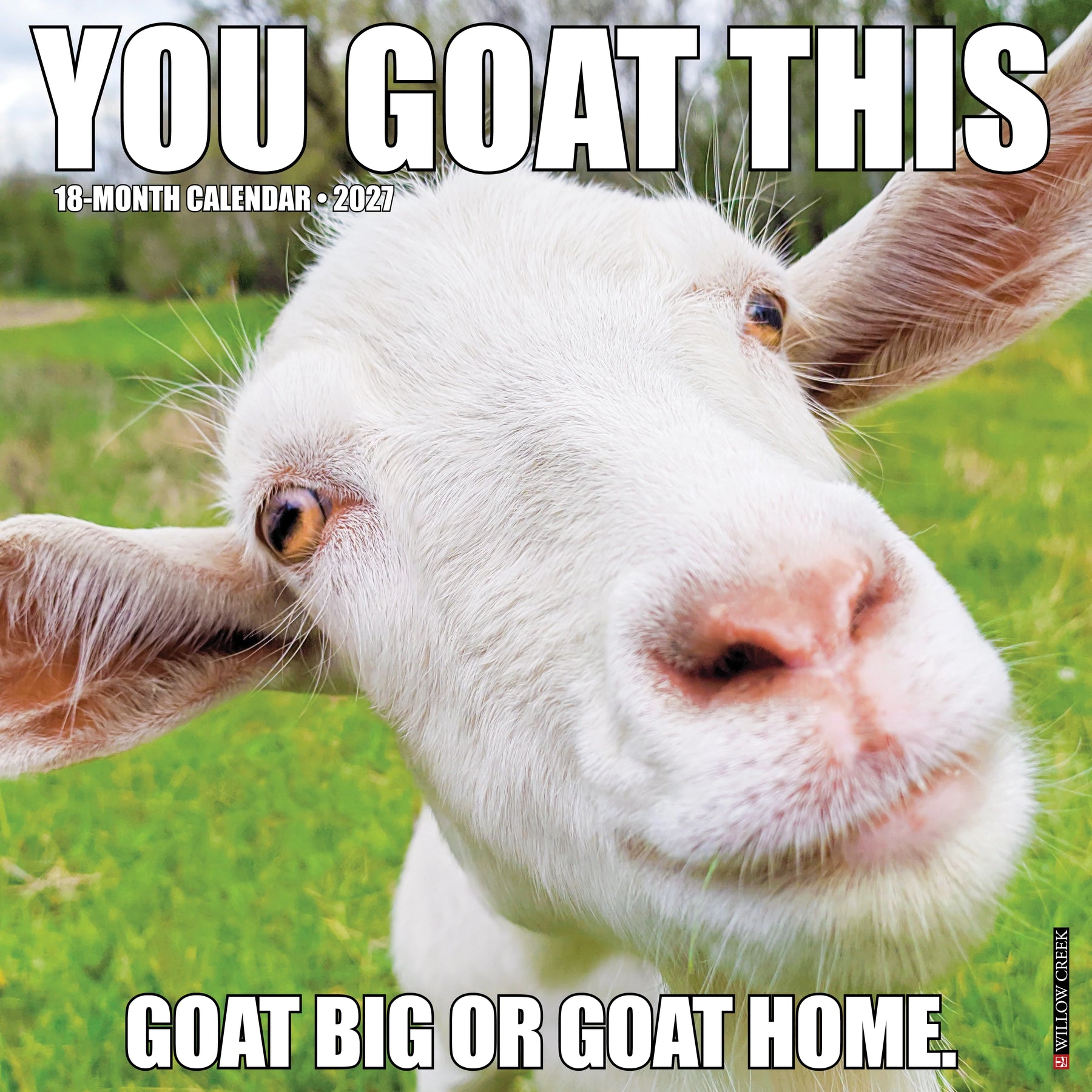 Willow Creek Press - 2027 You Goat This Calendar