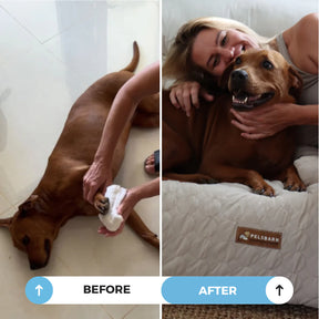 Pelsbarn - Cooling Dog Bed Heat Relief