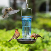 Kingsyard Glass Waterer Bird Feeder