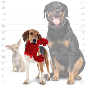 Tuffy Dog Toys - Mighty Microfiber Ball Crab Squeaky Toy