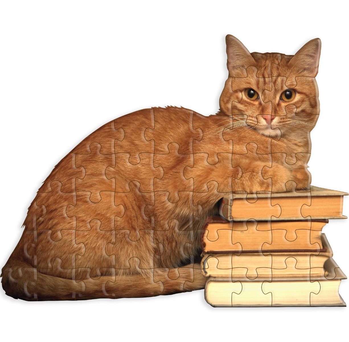 Cat Reader Jiggie Puzzle