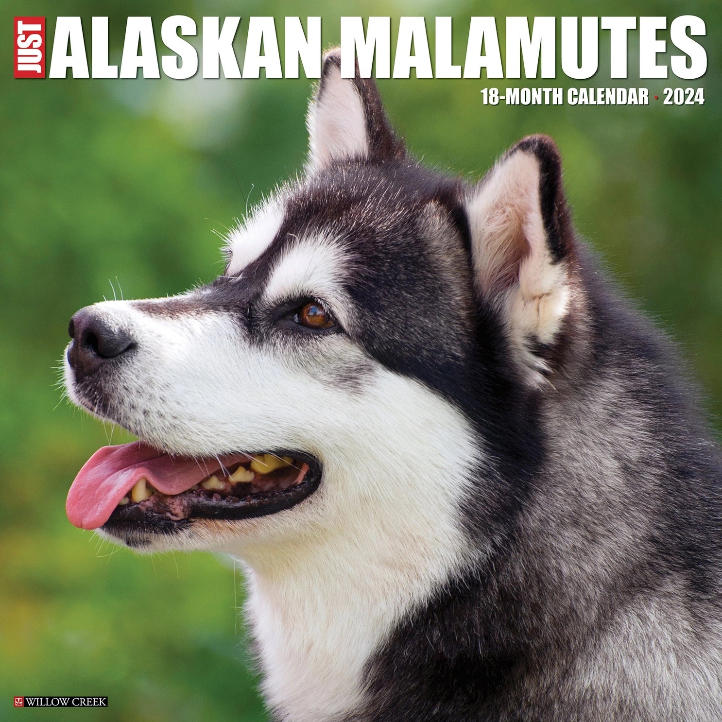 2024 Alaskan Malamutes Calendar
