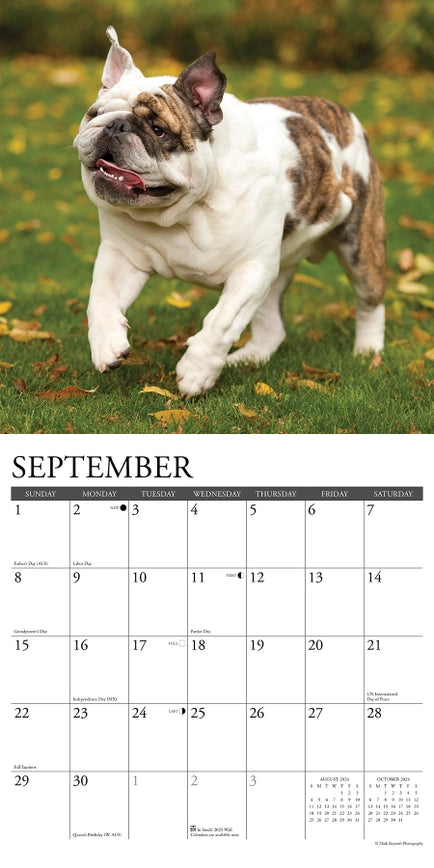 2024 Bulldog Calendar
