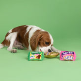 Petshop by Fringe Studio - Dog Toy 3 Pc Set Eggstra Sweet