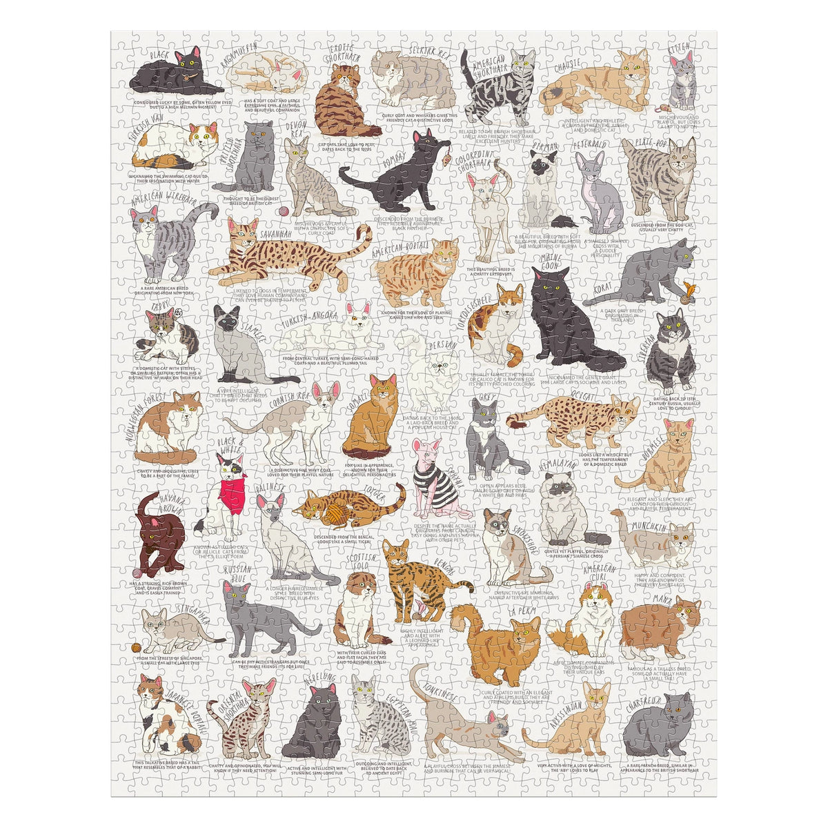 Puzzle Cat Lover's (1000 Piece)