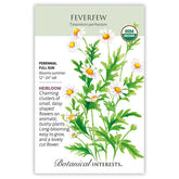 Feverfew Organic Seeds