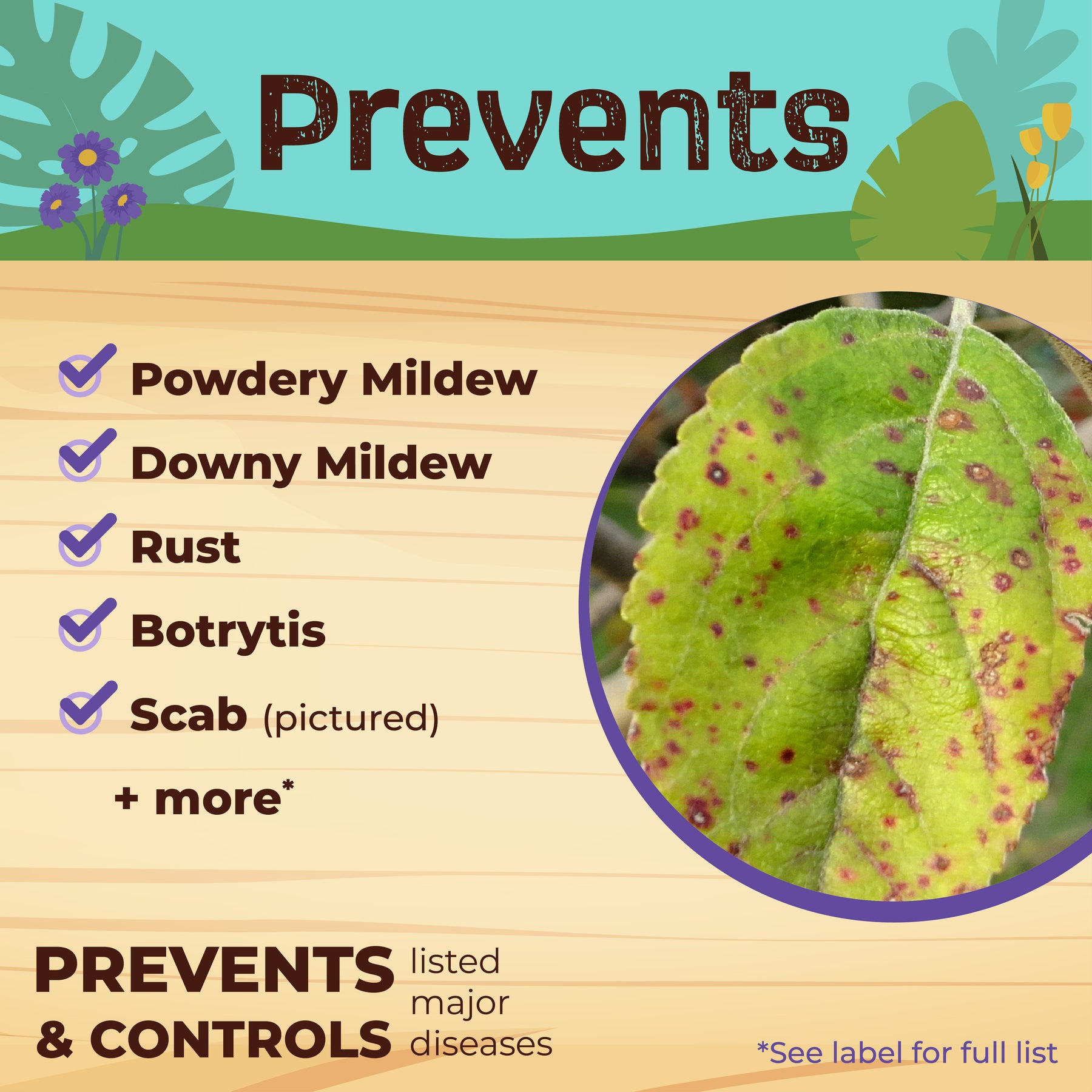 Bonide - CJ Neem Max Ready-To-Use Spray Cold Pressed Neem Oil