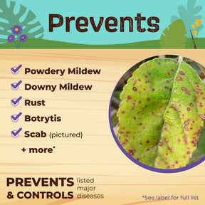 Bonide - CJ Neem Max Ready-To-Use Spray Cold Pressed Neem Oil