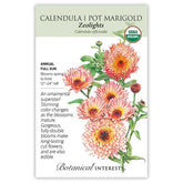 Calendula Zeolights-Pot Marigold Organic