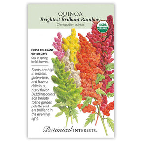 Brightest Brilliant Rainbow Quinoa Seeds