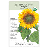 Sunflower Dwarf Sunspot Organic Seeds