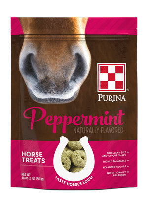 Purina Animal Nutrition - Horse Treats Peppermint