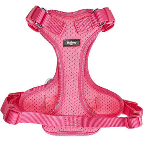 Blueberry Pet - Reflective Cat Harness & Leash Set with Bell