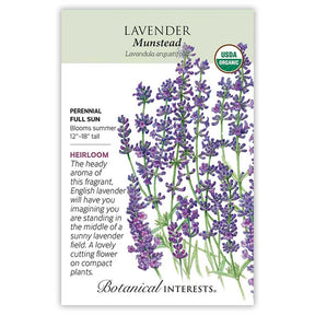 Lavender Dwarf Munstead Organic Seeds