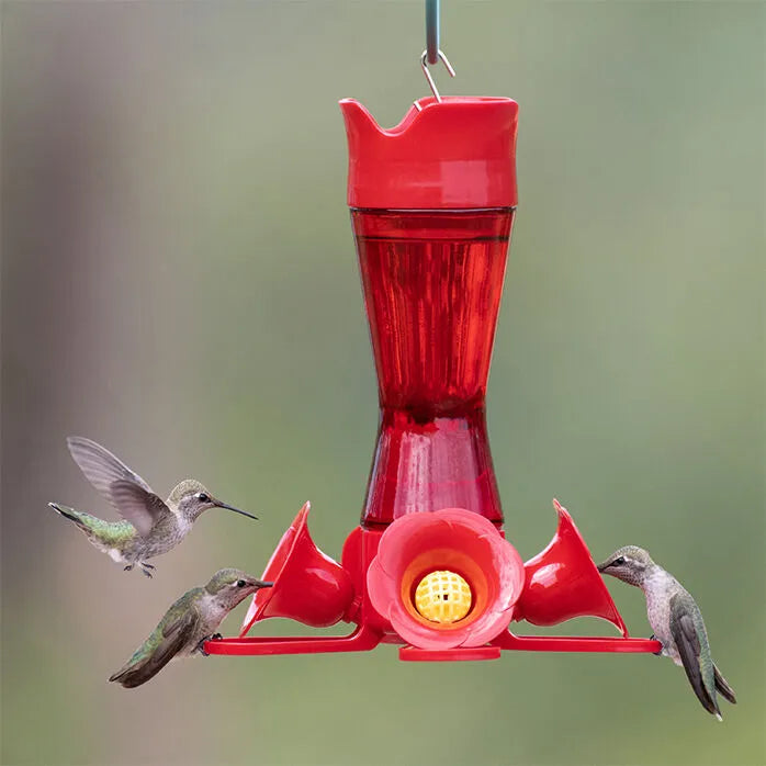 Hummingbird Feeder Pinched Waist Red Glass