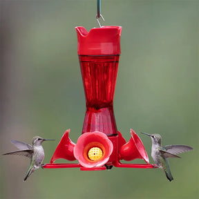 Hummingbird Feeder Pinched Waist Red Glass