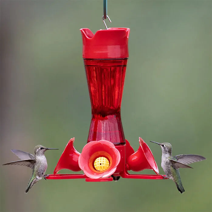 Hummingbird Feeder Pinched Waist Red Glass