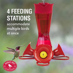 Hummingbird Feeder Pinched Waist Red Glass