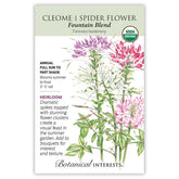 Botanical Interests, Inc. - Cleome Fountain Blend Seeds
