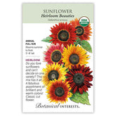 Sunflower Heirloom Beauties Organic Seeds