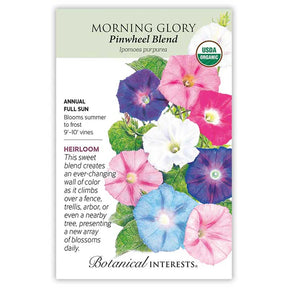 Morning Glory Pinwheel Blend Seeds