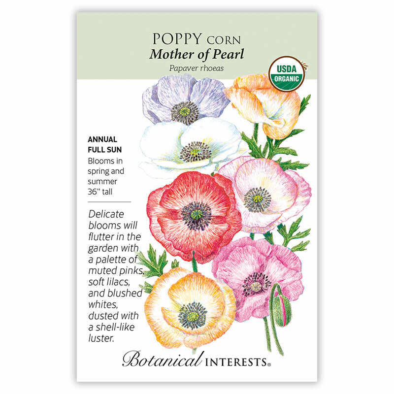 Botanical Interests, Inc. - Poppy Corn Mother of Pearl Seeds