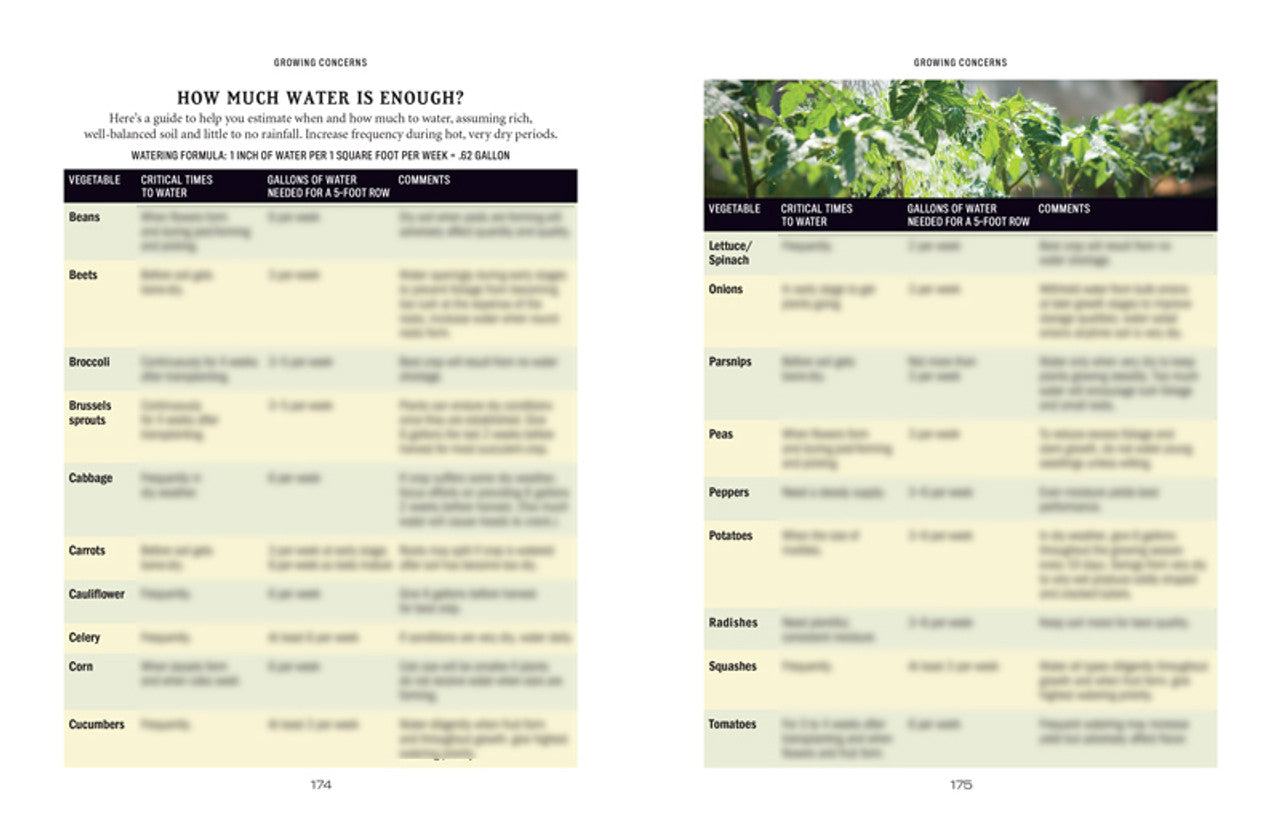 2025 Old Farmer's Almanac Vegetable Gardener's Handbook