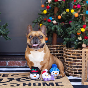 Petshop by Fringe Studio - Dog Toy Set Snow Excited!