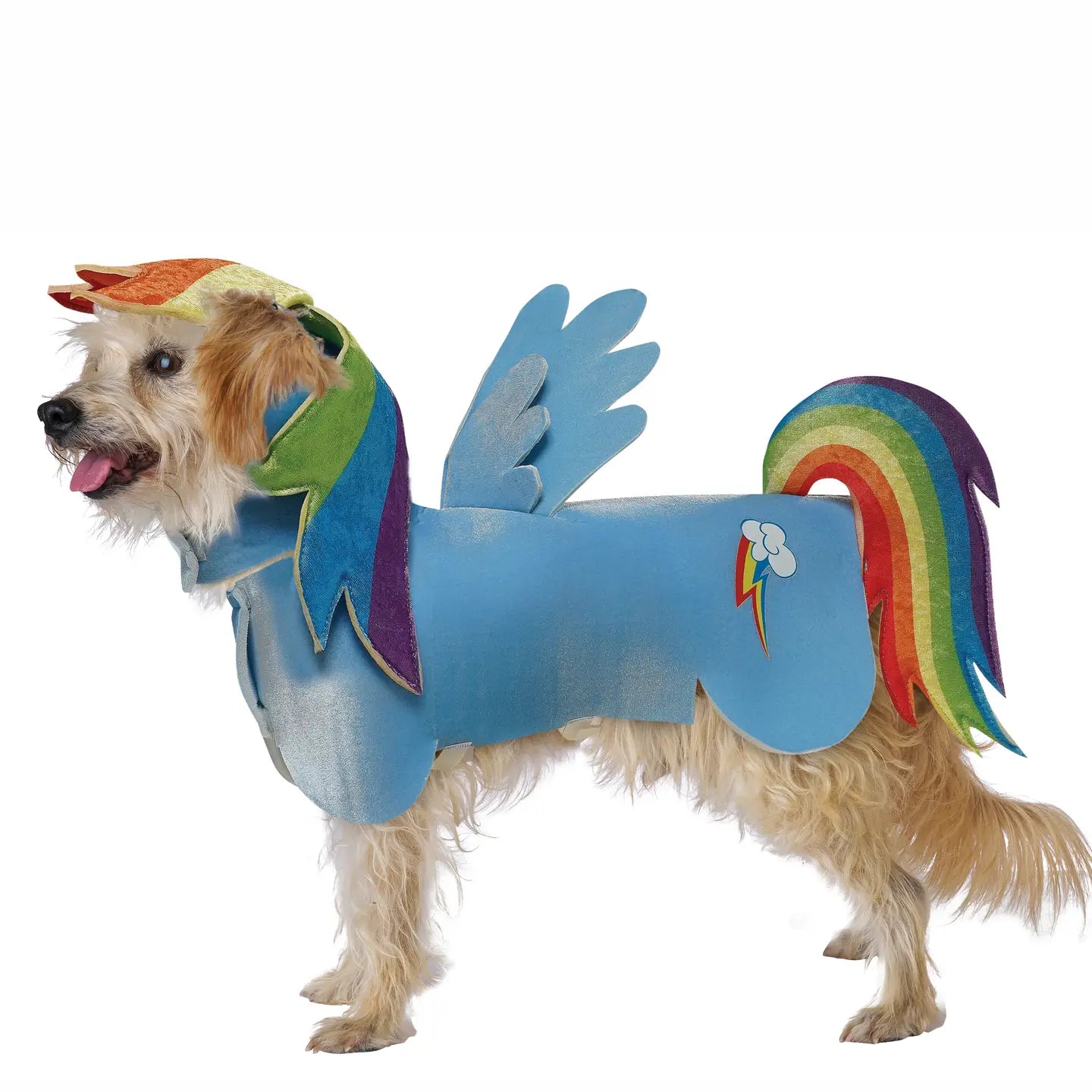 California Costumes - Halloween Costume My Little Pony Rainbow Dash