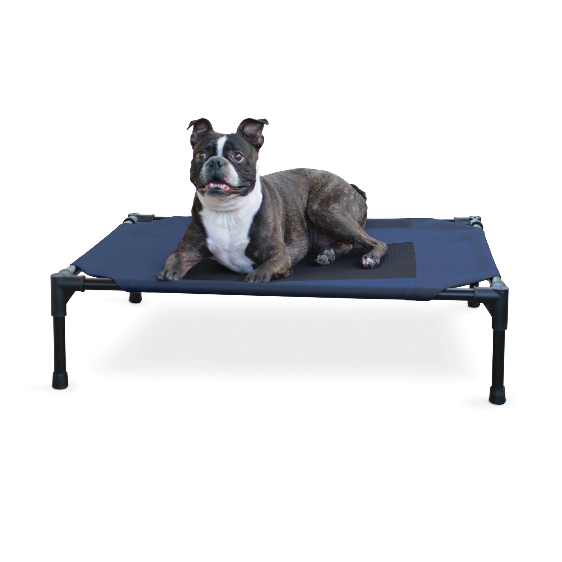Central Pet Home Essentials - Elevated Pet Bed