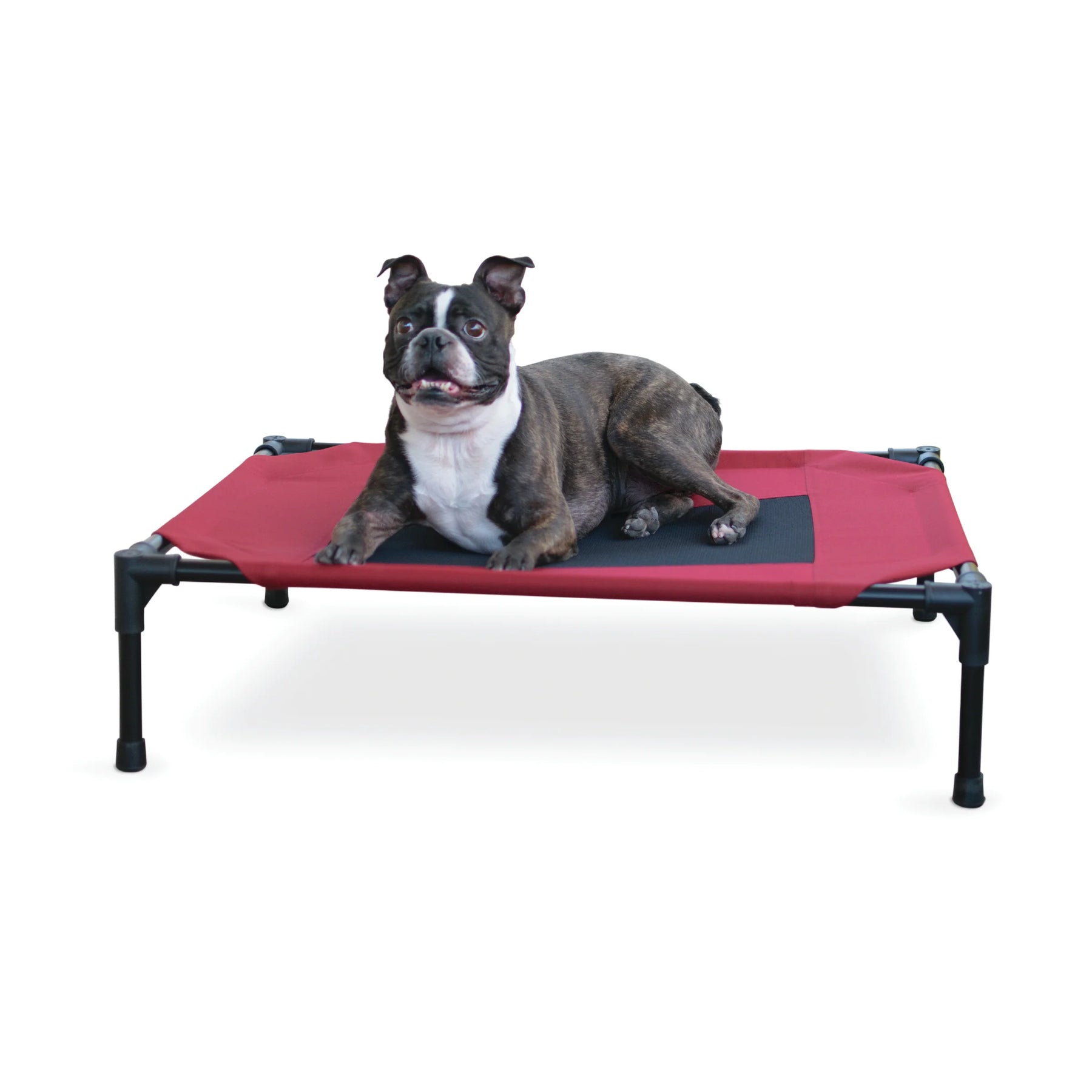Central Pet Home Essentials - Elevated Pet Bed