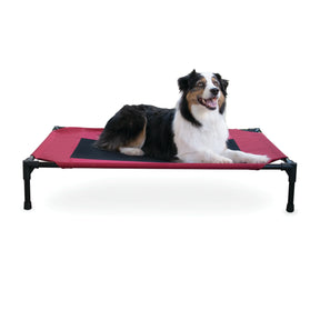 Central Pet Home Essentials - Elevated Pet Bed