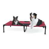 Central Pet Home Essentials - Elevated Pet Bed
