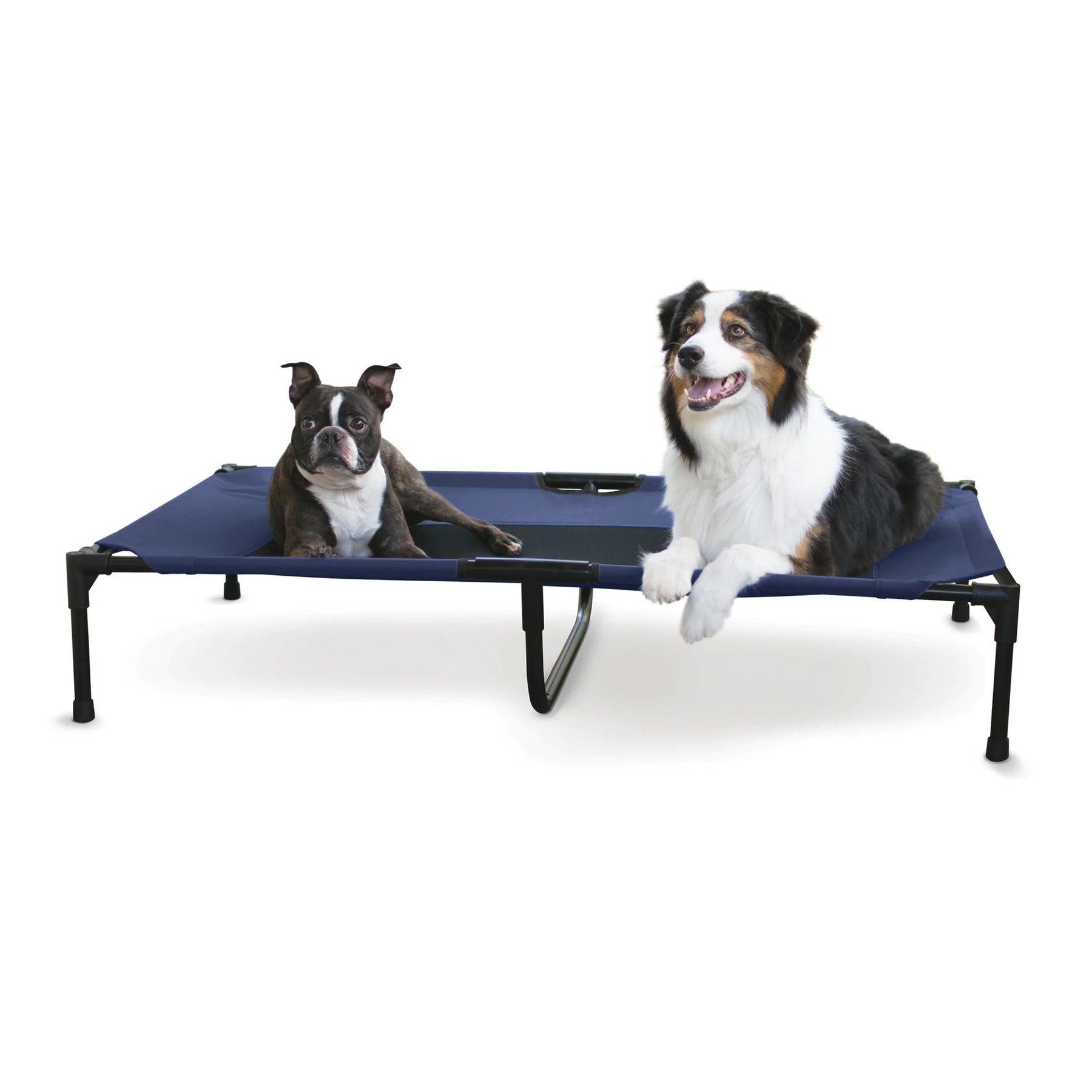 Central Pet Home Essentials - Elevated Pet Bed