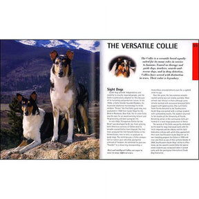 Collies Complete Pet Owner's Manual