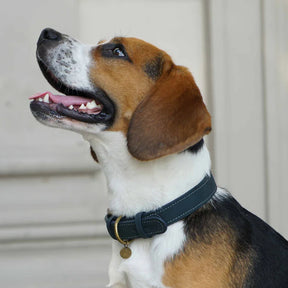 Navy | Full Grain Leather Dog Collar