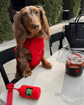 Furry Muse - Poop Bag Pouch Wander!