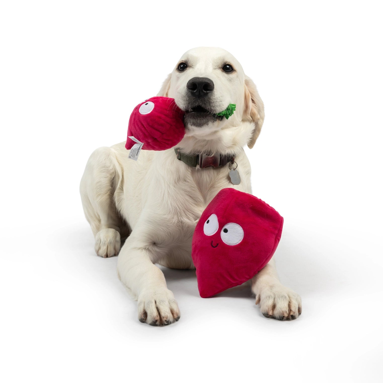 Huxley & Kent - Dog Toy Pop'n Fetch Beet