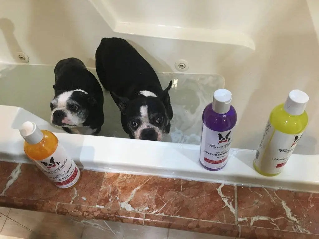 Neem Oil Shampoo for Dogs